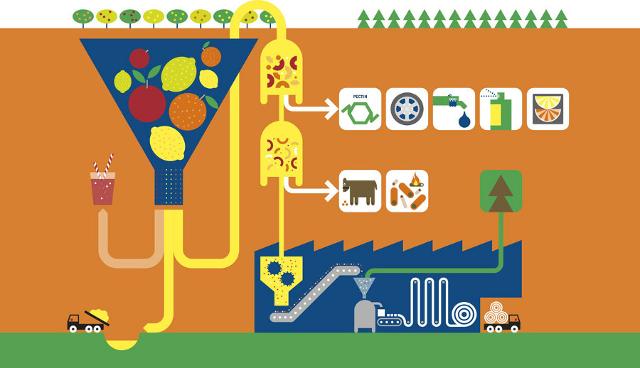 Ciclo del riuso del pastazzo degli agrumi