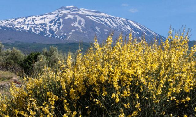 Il vino cullato dal vulcano