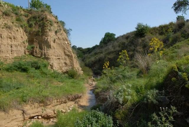 Vallone di Piano della Corte