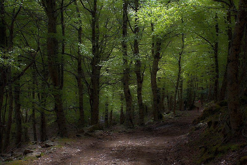 Viaggio a Cannedda, cammino per Sant'Antonio di Padova