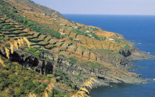 Pantelleria, dove nasce il 