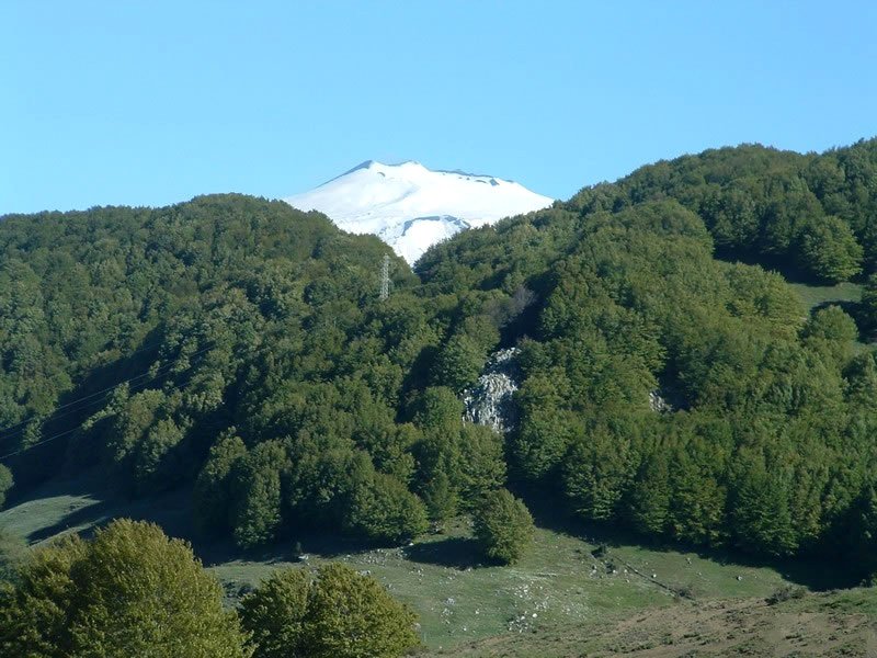 Viaggio a Cannedda, Cammino per Sant'Antonio di Padova