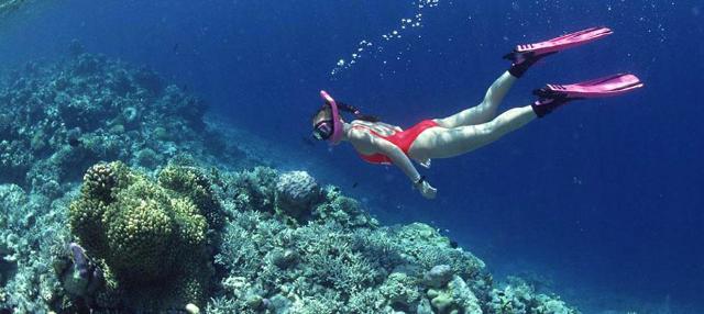 Snorkeling a Favignana