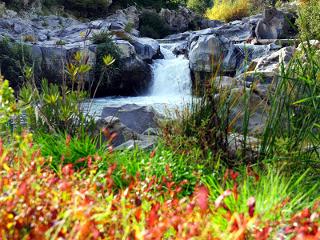 Il Parco fluviale dell'Alcantara compie 20 anni e amplia confini