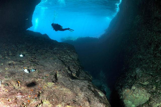 Un sub immerso a Punta Cappellone - Lampedusa