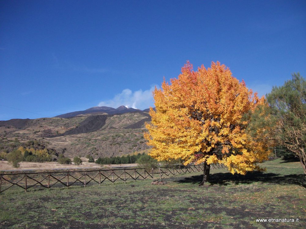 Le care montagne che parlano di Dio, Omaggio a S.Giovanni Paolo II
