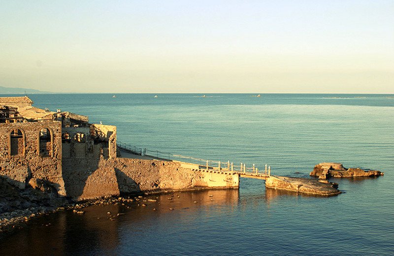 Scie in Balata