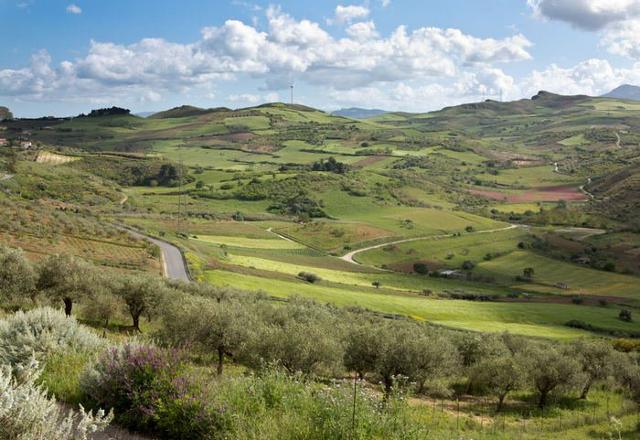 Il panorama campestre che si gode da Baucina