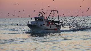 Per le imprese siciliane del settore pesca arrivano i sostegni regionali del bando Covid