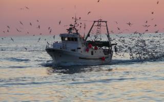 Per le imprese siciliane del settore pesca arrivano i sostegni regionali del bando Covid