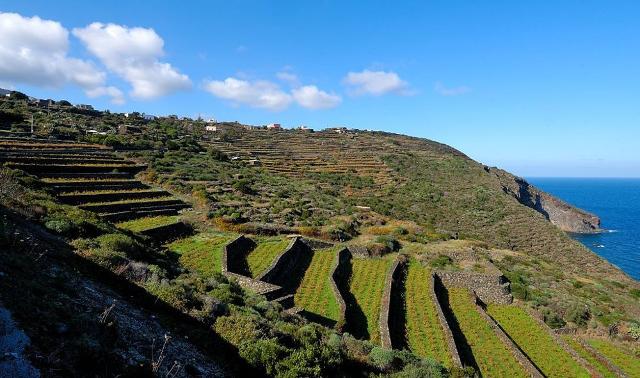 I vini vulcanici da viticultura eroica sul Palcoscenico Sicilia al Vinitaly