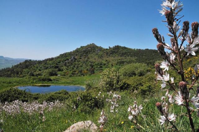 la-riserva-naturale-orientata-di-monte-altesina