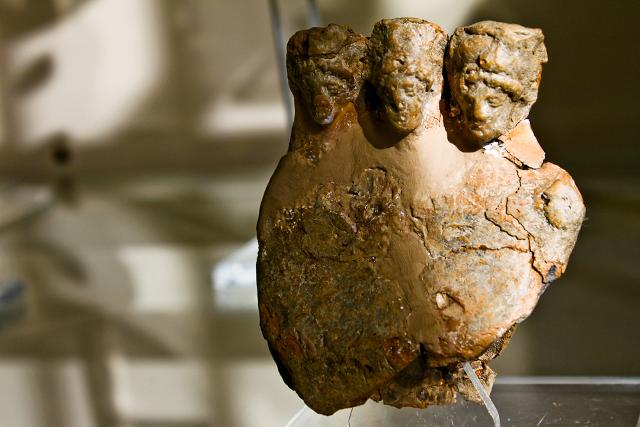 Reperti conservati nel Museo Archeologico di Marianopoli Reperti conservati nel Museo Archeologico di Marianopoli