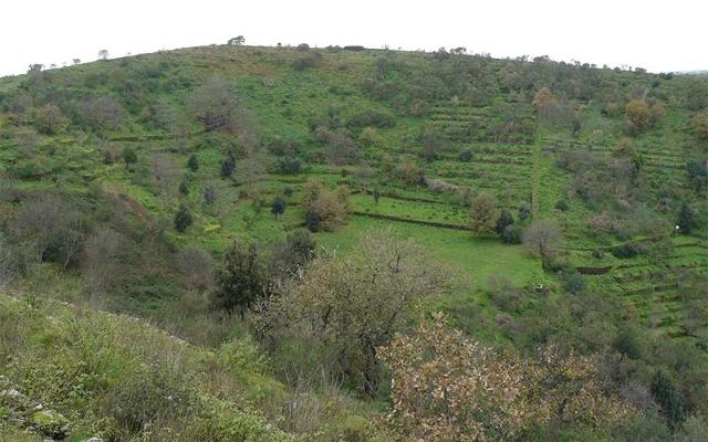 il-parco-monte-serra-dove-vivono-le-farfalle