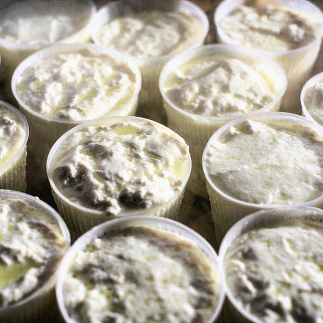 camper-rusticano-e-sagra-della-ricotta