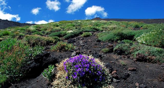 etna-trekking-tra-tunnel-lavici-e-lave-a-corda