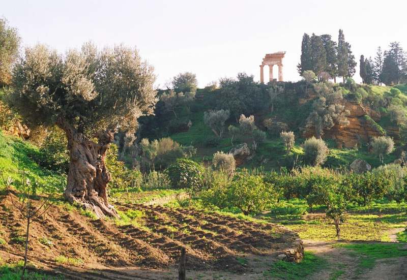 Agrigento inaugura percorso ipogeo alla Kolymbethra
