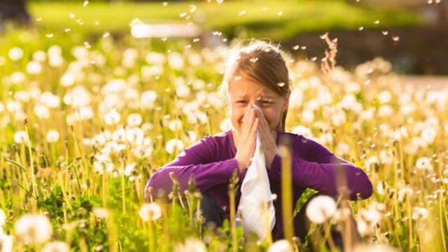 È Primavera e tornano le allergie. È possibile confondere i sintomi con quelli del Covid-19?