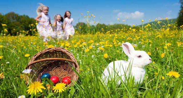 A Pasqua boom per agriturismi siciliani!