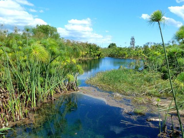 Un tratto del fiume Ciane - ph Marchal Un tratto del fiume Ciane - ph Marchal