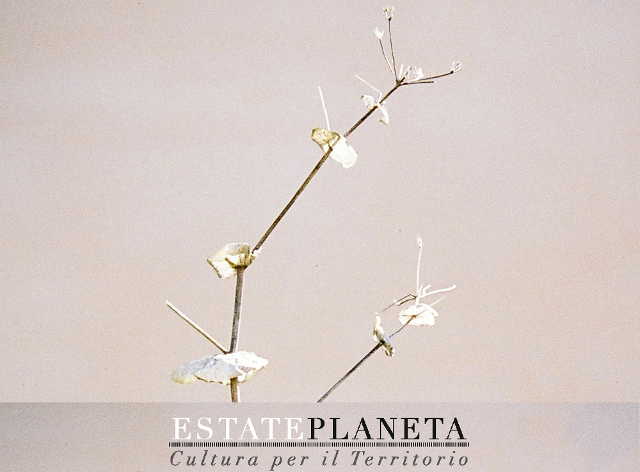 Ecco l’Estate Planeta, Cultura per il Territorio