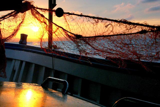 All'alba i pescatori salpano per andare al largo a recuperare le reti...