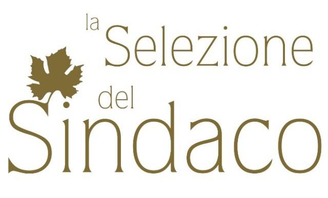 Selezione del Sindaco, la Sicilia conquista 30 premi