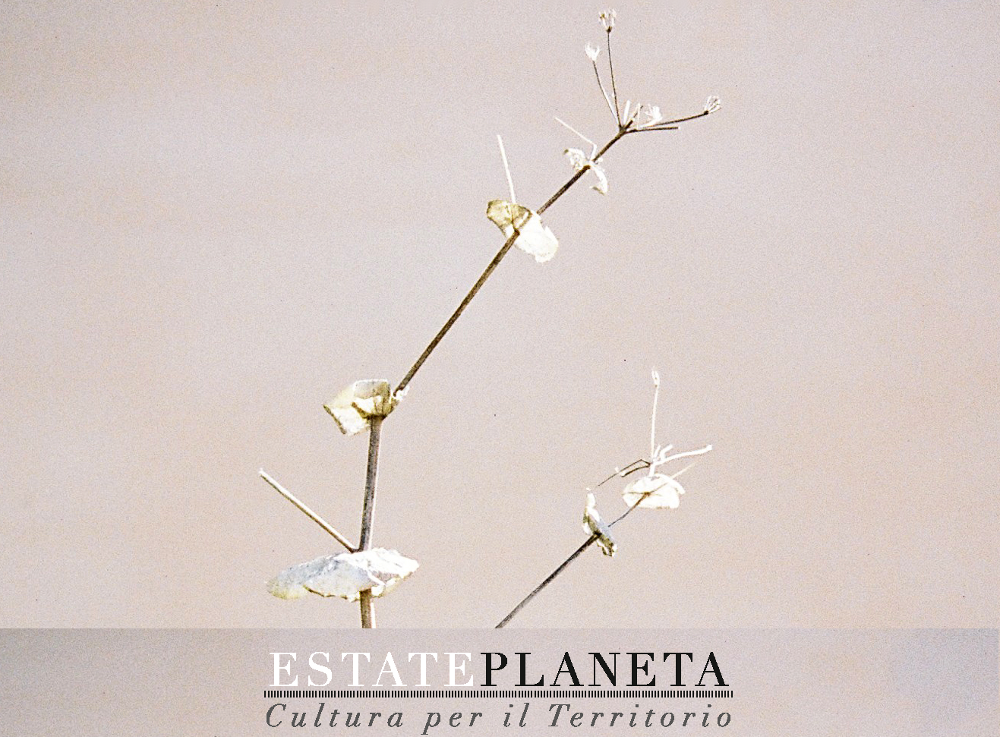 Ecco l’Estate Planeta, Cultura per il Territorio