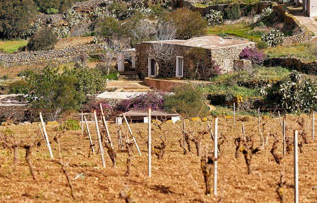 Un tipico dammuso pantesco