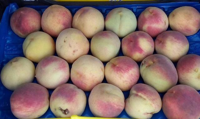 Pesca di Bivona IGP (nota anche come Pescabivona o Montagnola)