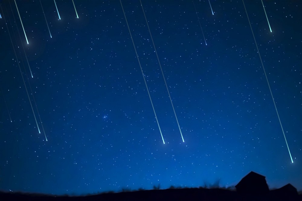 Zafferana Etnea - Calici di stelle