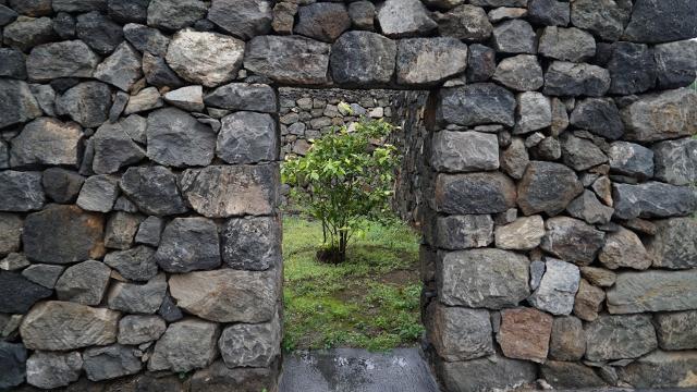 Scorcio di un giardino pantesco