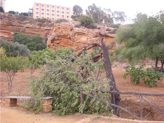Agrigento e Le Vie dei Tesori