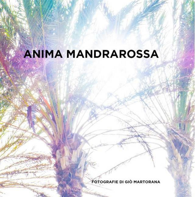 L’anima è femmina e quella di Mandrarossa è l'anima di Menfi