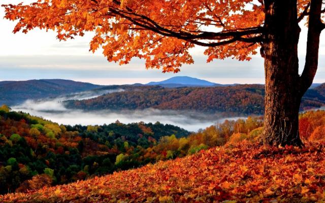 In Sicilia va in scena l'autunno