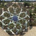 Alle falde dell'Etna torna il Radicepura Garden Festival