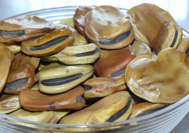 La fava larga di Leonforte