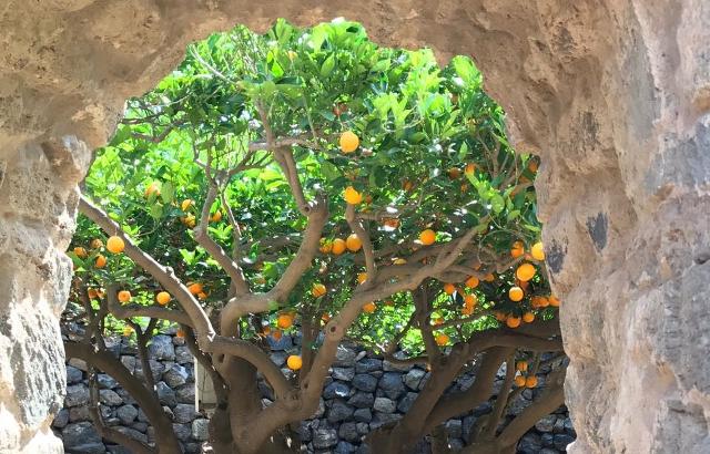 Il Giardino Pantesco di Donnafugata donato al FAI
