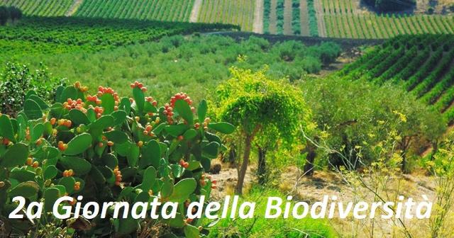 Pandittaino alla seconda giornata Giornata della Biodiversità Siciliana