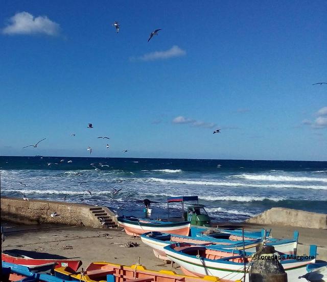 Il mare di Aspra - ph Loredana Maggiore Il mare di Aspra - ph Loredana Maggiore