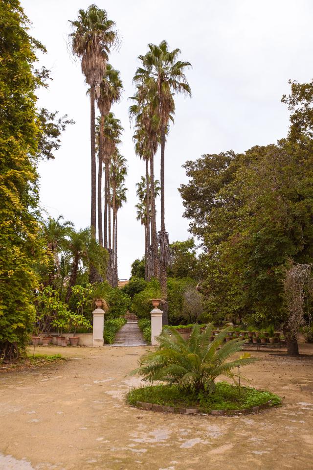 Ingresso del Viale delle palme di Palermo - ph CAVE studio per Manifesta 12 Palermo