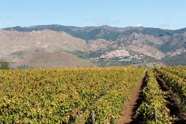 Un valdostano alle pendici dell’Etna