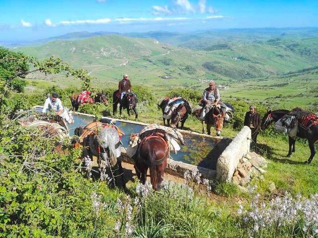 Un itinerario attraverso la Sicilia... a dorso di mulo