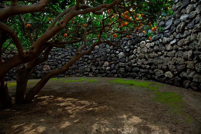 Il Giardino Pantesco che Donnafugata ha donato al FAI - Fondo Ambiente Italiano - ph Guido Taroni
