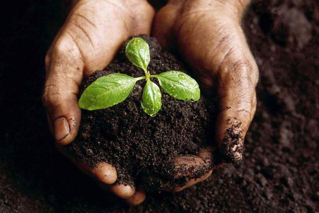 Agroecologia e Agricoltura biologica
