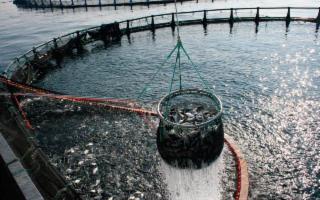 Per le imprese ittiche siciliane 1,2 mln di euro per la crisi Covid