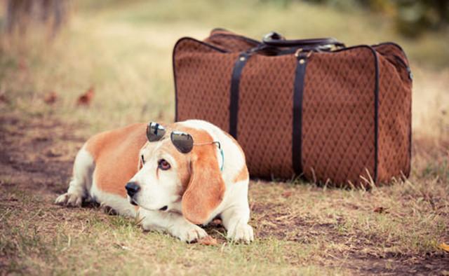 Non può mancare in valigia un kit per la sua igiene