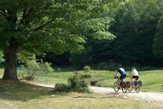 Sui Nebrodi in mountain bike...