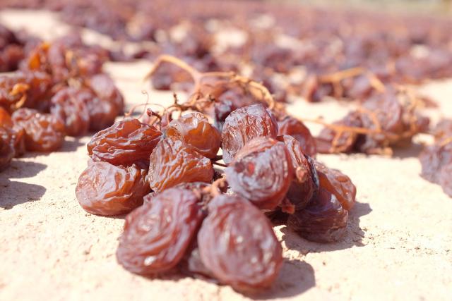 Uva passa per la produzione del Passito di Pantelleria