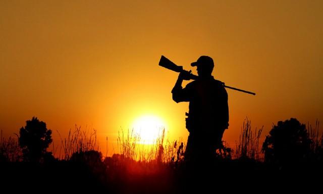 Caccia in Sicilia: il Tar sospende di nuovo il calendario venatorio. I cacciatori specificano: ''solo nei territori incendiati''.